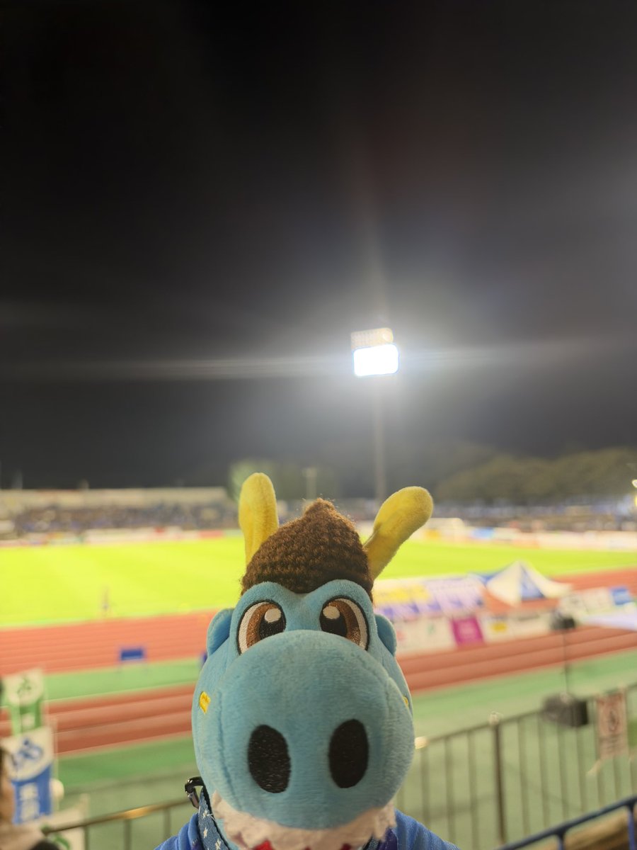 FCtongari09's tweet photo. トラジャ担が推しのぬい撮りしてたので、まねして推しのぬい撮りした。 https://t.co/KB9t8tBSfs