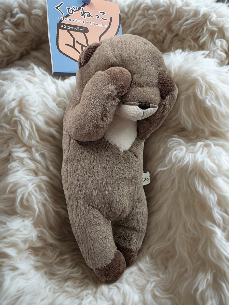 hamasui_shop's tweet photo. 思わずつまみたくなる癒し系マスコットポーチ

つままれかわうそ
つままれあざらし
1,980円(税込)

ずーっと撫でていたいふんわり手ざわりがたまりません.*･ﾟᰔᩚ https://t.co/VC3PBk8fyH