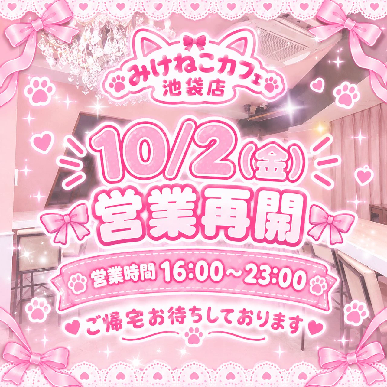 メイド喫茶みけねこカフェ《公式》 (@mikecatcafe) / X