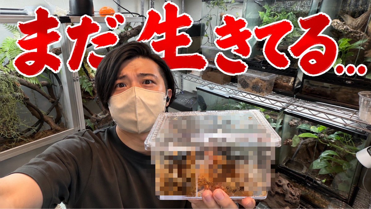 aririn_leopa's tweet photo. ▼YouTube更新

まだ生きてるだと...
https://t.co/XUfQ6KUrfe https://t.co/DuJgtUs8RI