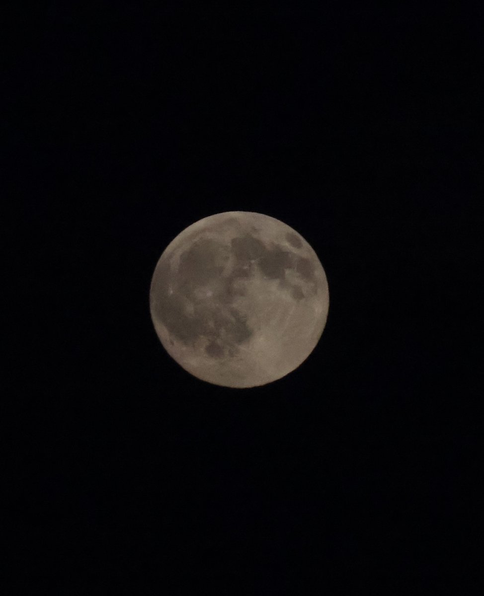 CMoonNeverRise's tweet photo. 十六夜(いざよい)の月は登る🌕
明日は勝つ！

#シーホース三河 https://t.co/SzLL4atcHu