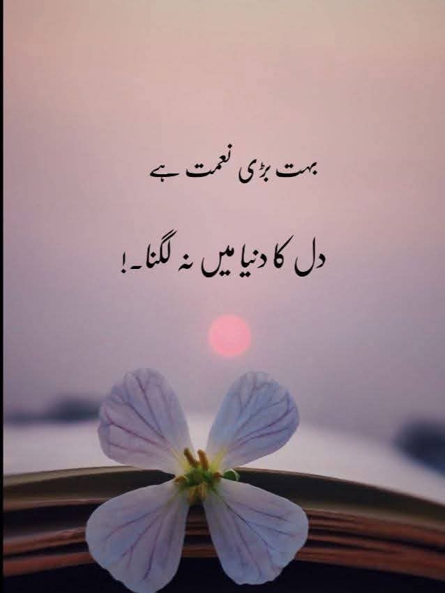 21Mazh's tweet photo. https://t.co/E0saqGnhxJ