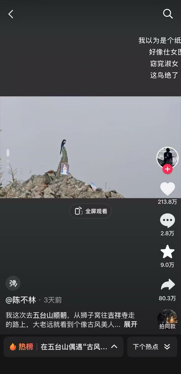 Vugnox's tweet photo. 这个古风美人居然没人发过，人民日报、新华社全部转发了，主视频高达两百多万点赞。
远看是美人，近看是喜鹊和山石
远山如黛，飞鸟似人
https://t.co/0xEwTD94jz https://t.co/xSrOZ22uFn