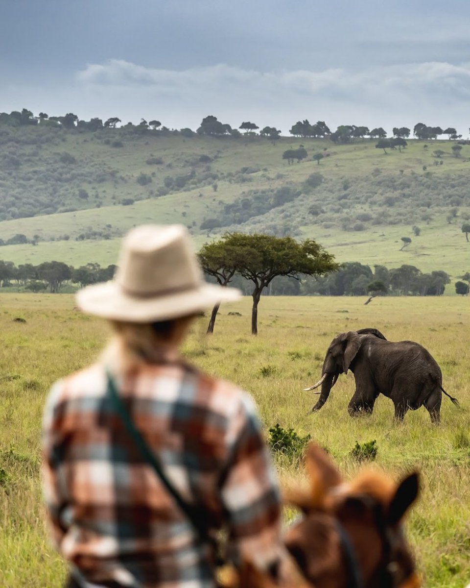 RightToPlay_UK's tweet photo. An extraordinary adventure for experienced riders 🐎🌍  

In March 2027, our Ambassador @HoyEventing will host a seven-day riding safari through Kenya’s Maasai Mara, organised by Orbis Expeditions and supporting Right To Play.
 
Bookings close 30/09: https://t.co/6t5fZtrlIb https://t.co/TSl3Tdr845