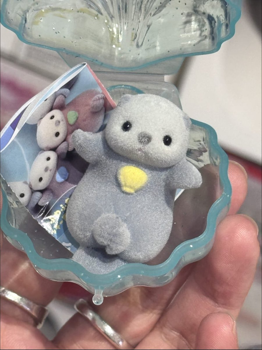 shallowspaces's tweet photo. APASIH LUCU BANGET… KERANG ISI LITTLE OTTER GEMES 🦦😭🤏 https://t.co/0kAe97VF8J