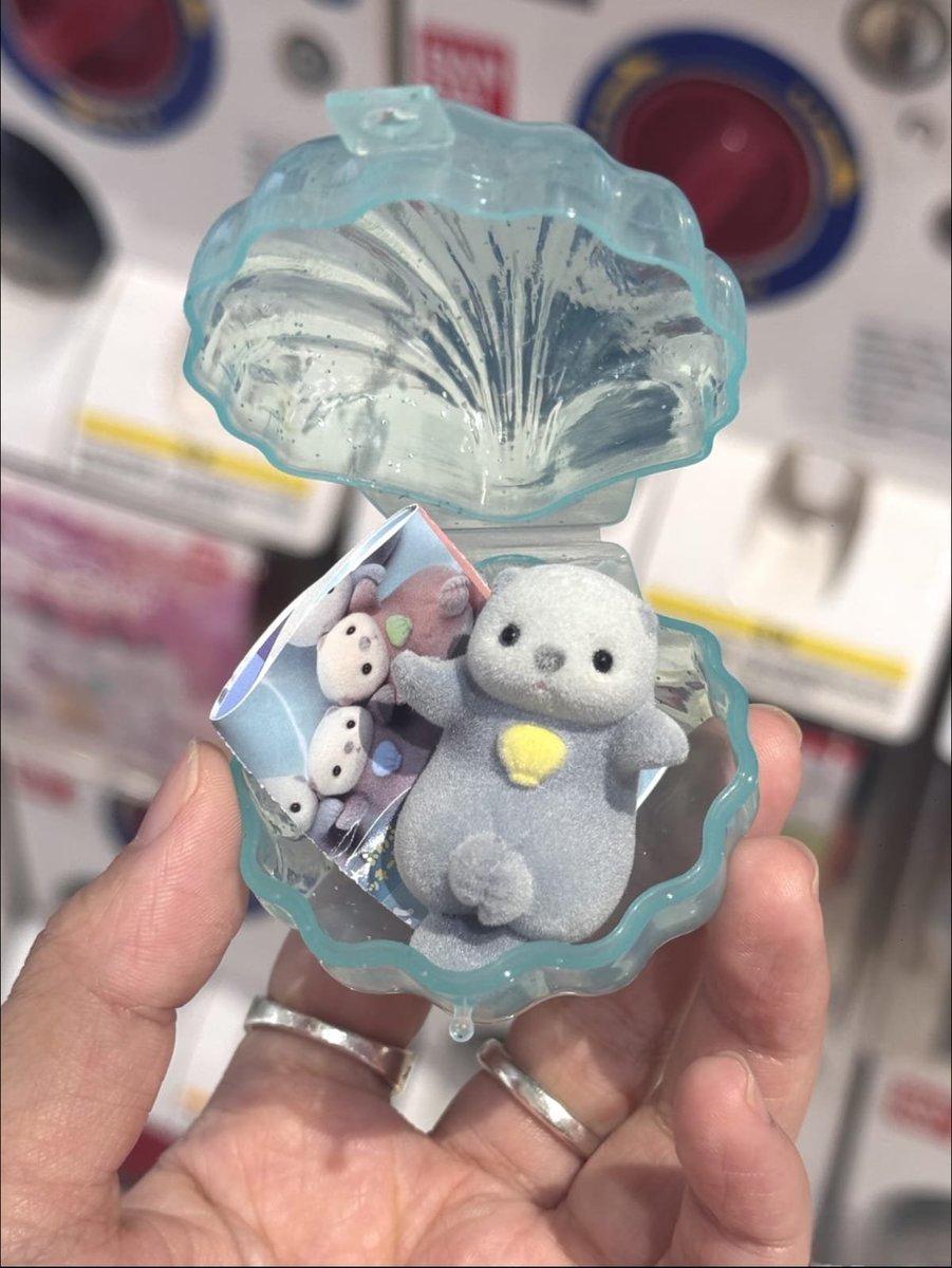 shallowspaces's tweet photo. APASIH LUCU BANGET… KERANG ISI LITTLE OTTER GEMES 🦦😭🤏 https://t.co/0kAe97VF8J
