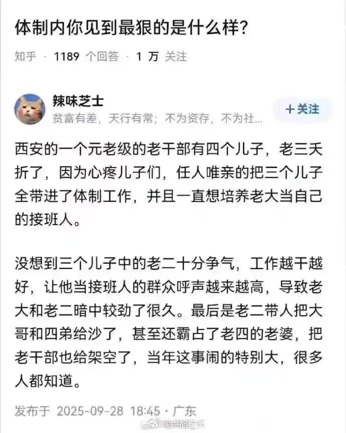 7w 🕊️ 的图片 1