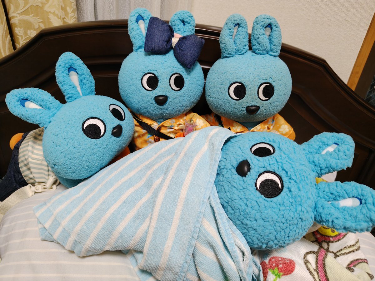 milkymintsheart's tweet photo. 小田急グッズブースのガラポンを引いたら、なんと1回で30cmもころんが当たり、我が家のもこずに新しいきょうだいが増えました！寝そべりの弟もこもついにお兄ちゃんになりました✨ #もころん #一家に一匹もころんを #世田谷鉄道フェスタ https://t.co/h2VL79MBf5