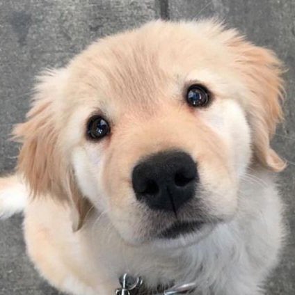 angelpiiip's tweet photo. #twnpich ˚.🦴 ᵎᵎ https://t.co/nRRZy4O9GJ