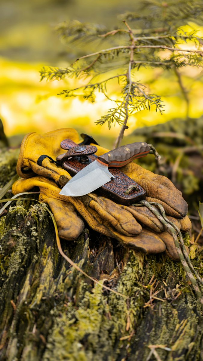 Firstshothuntco's tweet photo. 🌲 Adventure is always in season.
https://t.co/euh4GAvRSm
#OutdoorLife #Explore https://t.co/VAl3NWCFIF