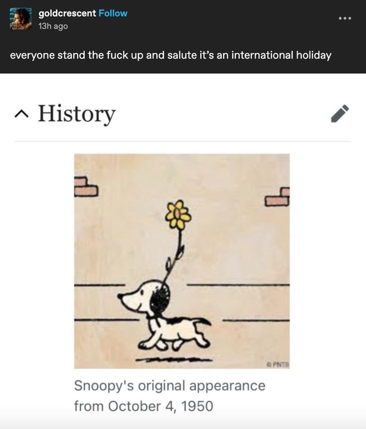 realsnooopy's tweet photo. https://t.co/apDxwDJrlL