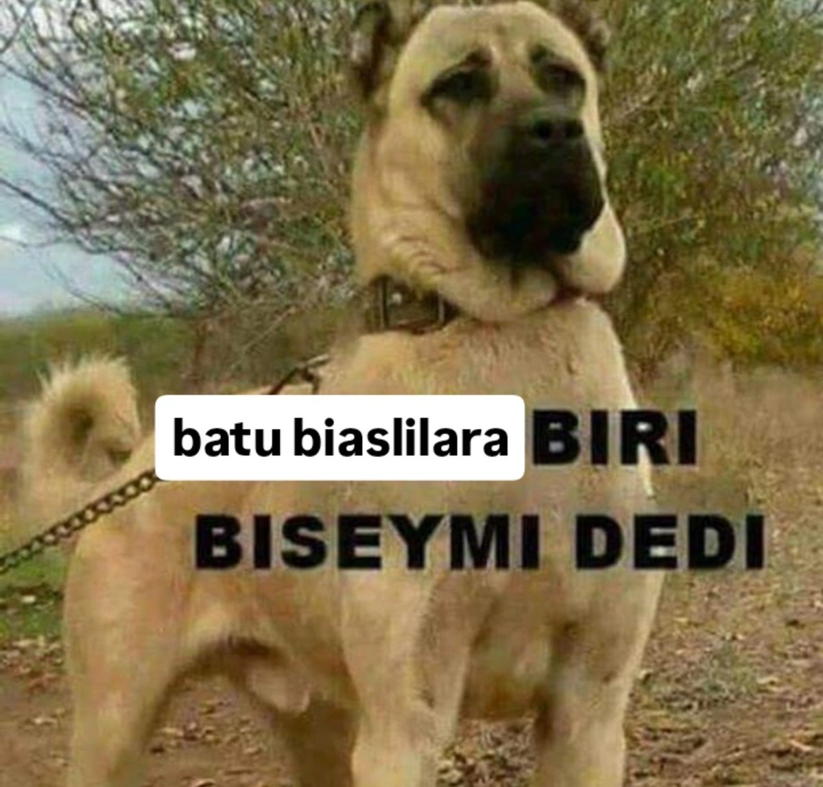 elowisyy's tweet photo. gecin arkama hepinizi korurum https://t.co/5aAabvQTKC