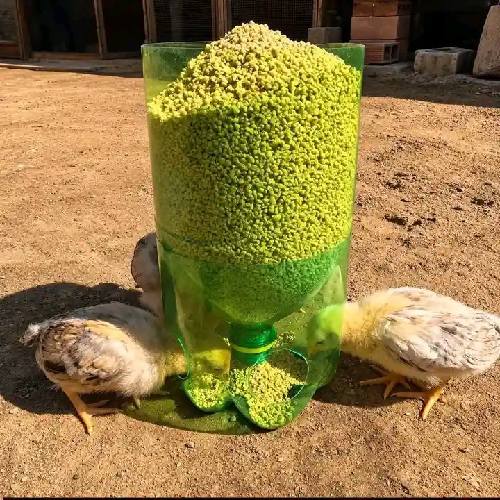 georgexv2c's tweet photo. Improvised for poetry farming https://t.co/FlDLbEVEg9