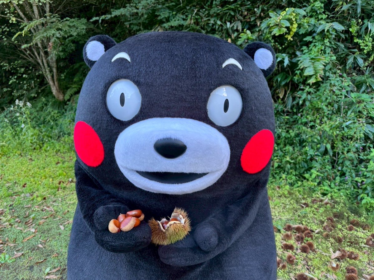 happymonmonmon's tweet photo. こんばんぺいゆ
モンちゃん、
今日もゆっくま休んでくまさい🐻
おやくま https://t.co/dQA7mX0Ou9