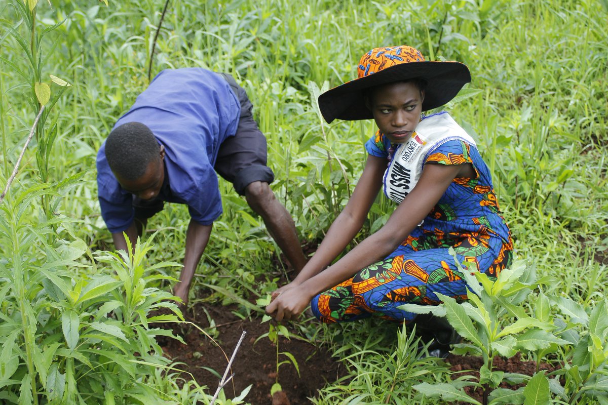 ugandanist's tweet photo. WORLD TOURISM DAY, TREES FOR TOURISM PLANTING, visit at https://t.co/FHPueSJSvq. 

Trees For Tourism Project, kindly visit https://t.co/y2Leyf8KCW OR https://t.co/dsXEiNJyTc

Budongo https://t.co/dsXEiNJyTc

ACTIVITY PHOTOS AT https://t.co/i1R3FaeukF AND https://t.co/VF7jKD3Pkv https://t.co/uYZCv4jotG
