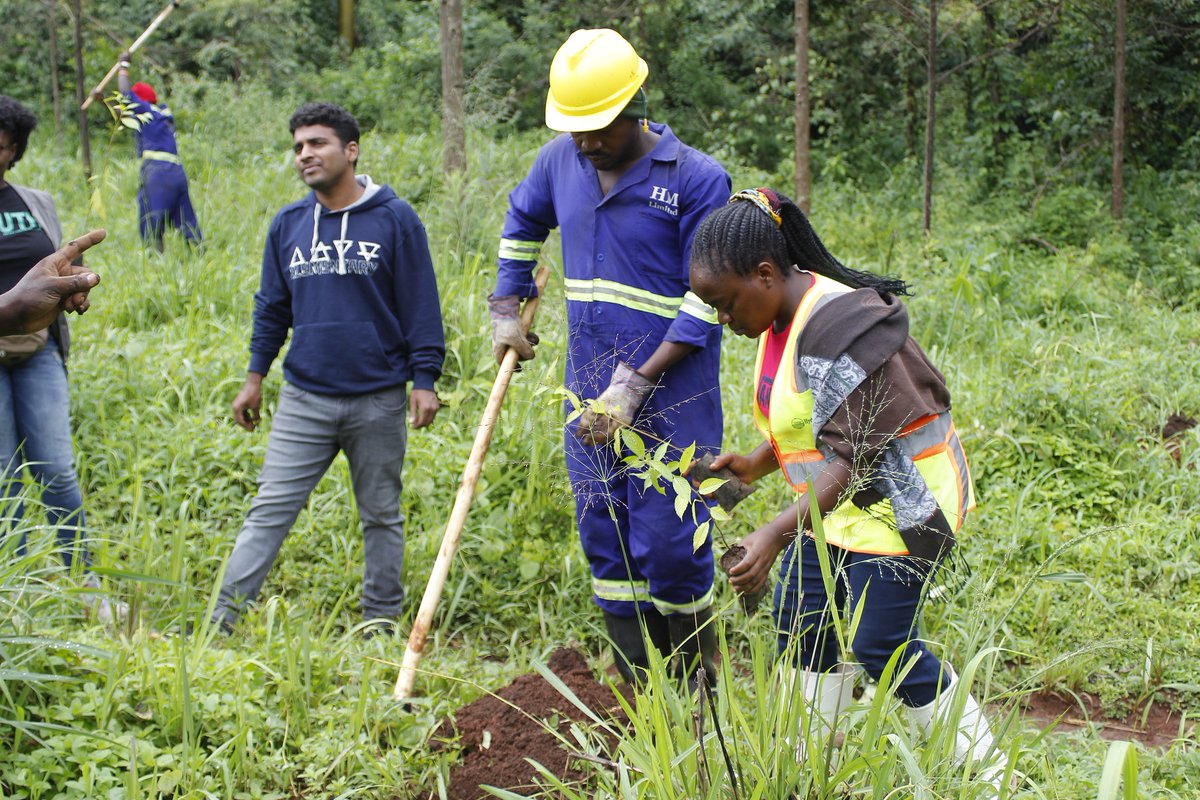 ugandanist's tweet photo. WORLD TOURISM DAY, TREES FOR TOURISM PLANTING, visit at https://t.co/FHPueSJSvq. 

Trees For Tourism Project, kindly visit https://t.co/y2Leyf8KCW OR https://t.co/dsXEiNJyTc

Budongo https://t.co/dsXEiNJyTc

ACTIVITY PHOTOS AT https://t.co/i1R3FaeukF AND https://t.co/VF7jKD3Pkv https://t.co/uYZCv4jotG