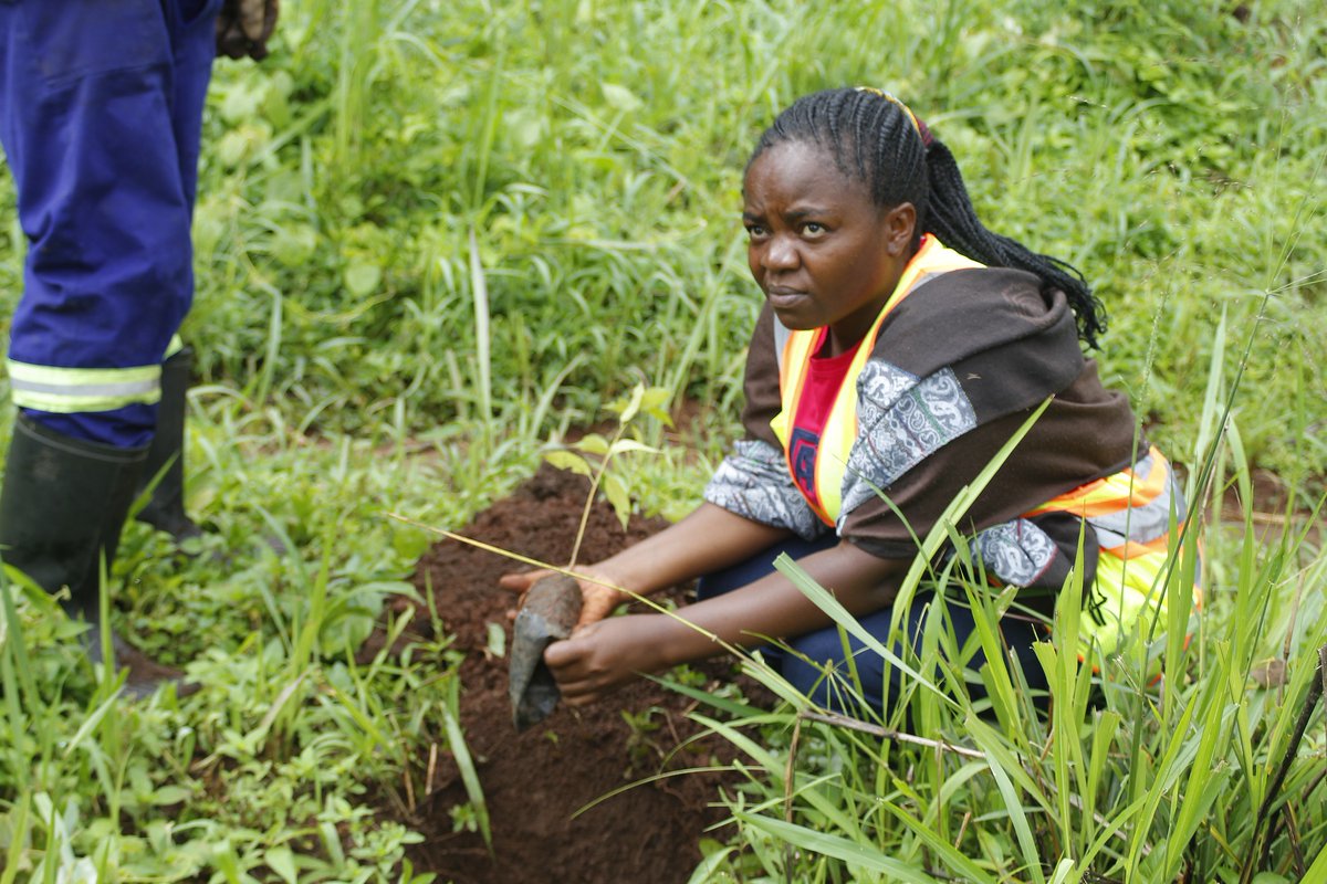ugandanist's tweet photo. WORLD TOURISM DAY, TREES FOR TOURISM PLANTING, visit at https://t.co/FHPueSJSvq. 

Trees For Tourism Project, kindly visit https://t.co/y2Leyf8KCW OR https://t.co/dsXEiNJyTc

Budongo https://t.co/dsXEiNJyTc

ACTIVITY PHOTOS AT https://t.co/i1R3FaeukF AND https://t.co/VF7jKD3Pkv https://t.co/uYZCv4jotG