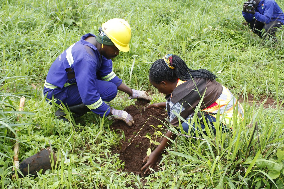ugandanist's tweet photo. WORLD TOURISM DAY, TREES FOR TOURISM PLANTING, visit at https://t.co/FHPueSJSvq. 

Trees For Tourism Project, kindly visit https://t.co/y2Leyf8KCW OR https://t.co/dsXEiNJyTc

Budongo https://t.co/dsXEiNJyTc

ACTIVITY PHOTOS AT https://t.co/i1R3FaeukF AND https://t.co/VF7jKD3Pkv https://t.co/uYZCv4jotG