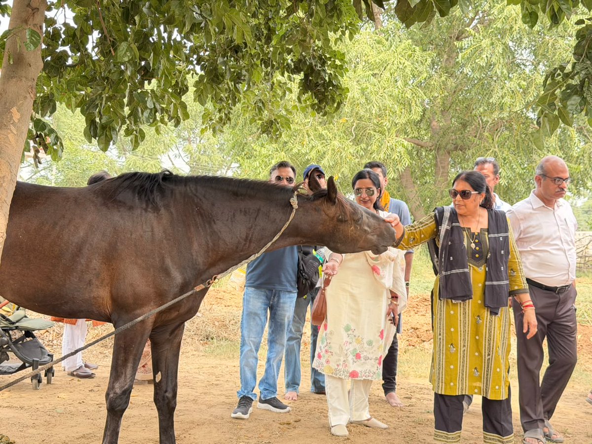 hindufund_'s tweet photo. Today at @vaidikabharata Sonipat, we did not just visit an institution. We experienced a way of life.
From time with the Acharyas and students to the Indian Ashwa, simple Sattvik bhojan and moments of music and conversation, the day offered a glimpse into a living Gurukul tradition that continues to preserve and transmit Bharatiya knowledge.
Some experiences stay with you long after the visit ends. This was one of them.
Sharing a few moments from today. Many more beautiful memories to follow.
Vaidika Bharata Gurukul is doing important work to ensure that this tradition has the space and infrastructure to grow for generations to come. You can support its building construction through Hindu Fund here:
https://t.co/yJ73JOIlox
#VaidikaBharata #Gurukul #VedicEducation #GuruShishyaParampara #HinduFund