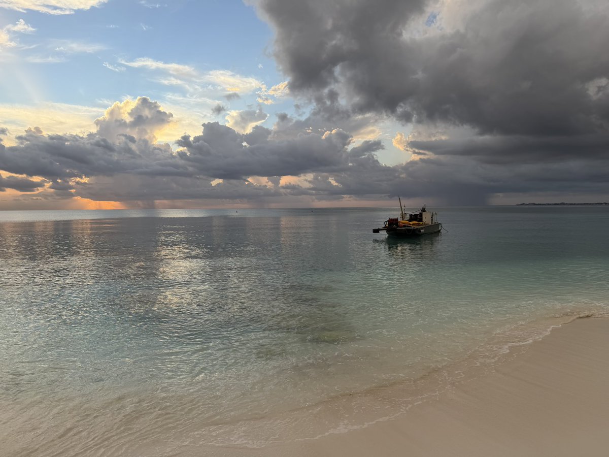 BrandNu_Mee's tweet photo. Grand Cayman was truly one of a kind 🙂‍↕️ https://t.co/b7X3dvUWcM