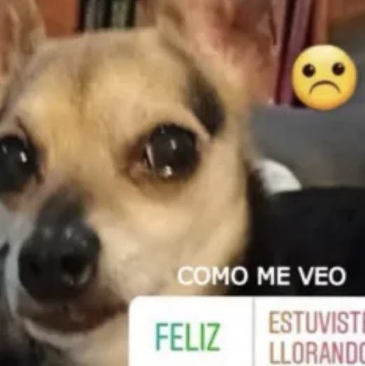 ivsxx's tweet photo. Pensé que en el fin de semana iba a estar libre pero me dejaron 5 tareas https://t.co/roVi9BDd8R