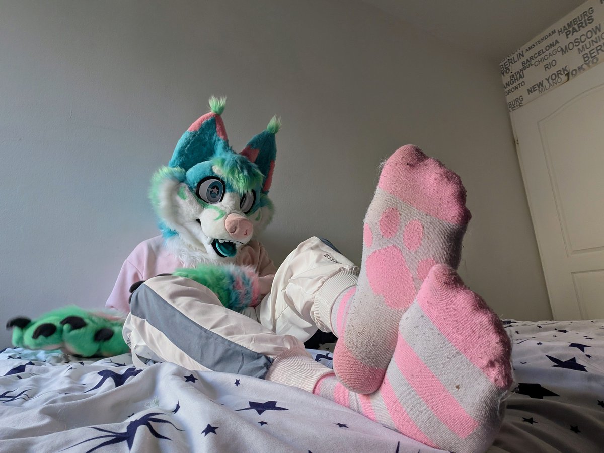 Luxf3rr_AD's tweet photo. Come take a sniff~ 🐾
get candyflossed :3 

#paws https://t.co/1Y8OwKPC5b