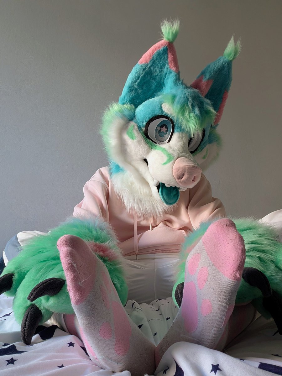 Luxf3rr_AD's tweet photo. Come take a sniff~ 🐾
get candyflossed :3 

#paws https://t.co/1Y8OwKPC5b