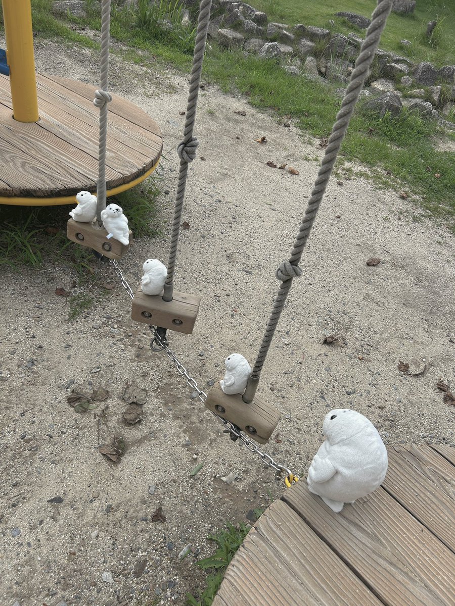 waccha_309's tweet photo. 順番待ち🦭🦭🦭🦭 https://t.co/2m7JMs9BQw
