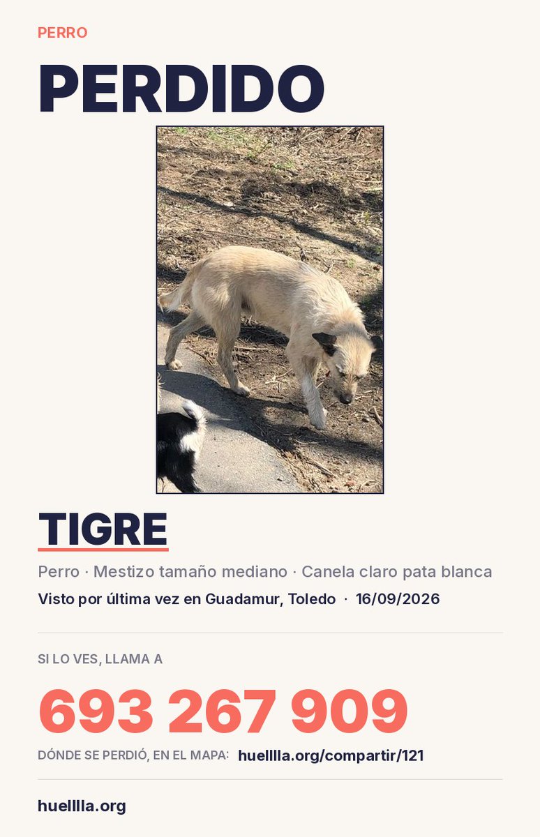 huelllla's tweet photo. En #CastillaLaMancha siguen sin aparecer ellos cuatro. https://t.co/sKmPtpPVsw