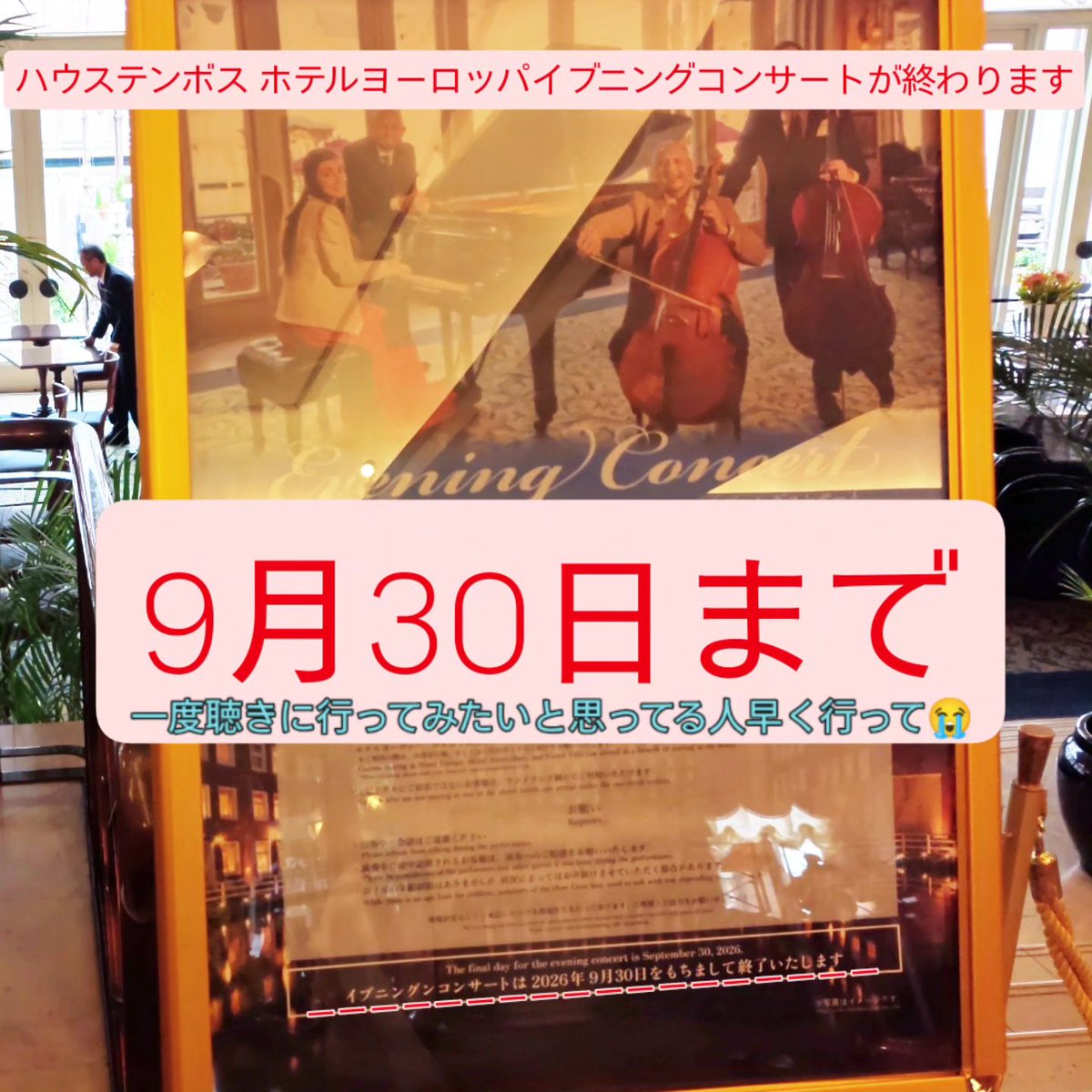 miftane's tweet photo. @mediologic 立て直しのプロとしてハウステンボスをしょぼくして黒字にした上澄みを充てやしないか不安です。 https://t.co/xbslrvlRfU