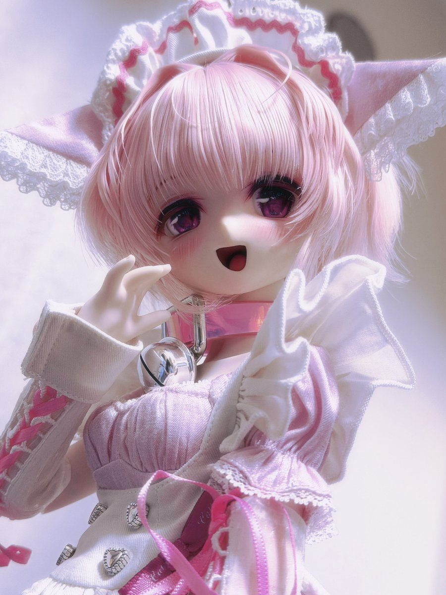tissue_321's tweet photo. 来週出品予定の子 https://t.co/4H92u4PpBT