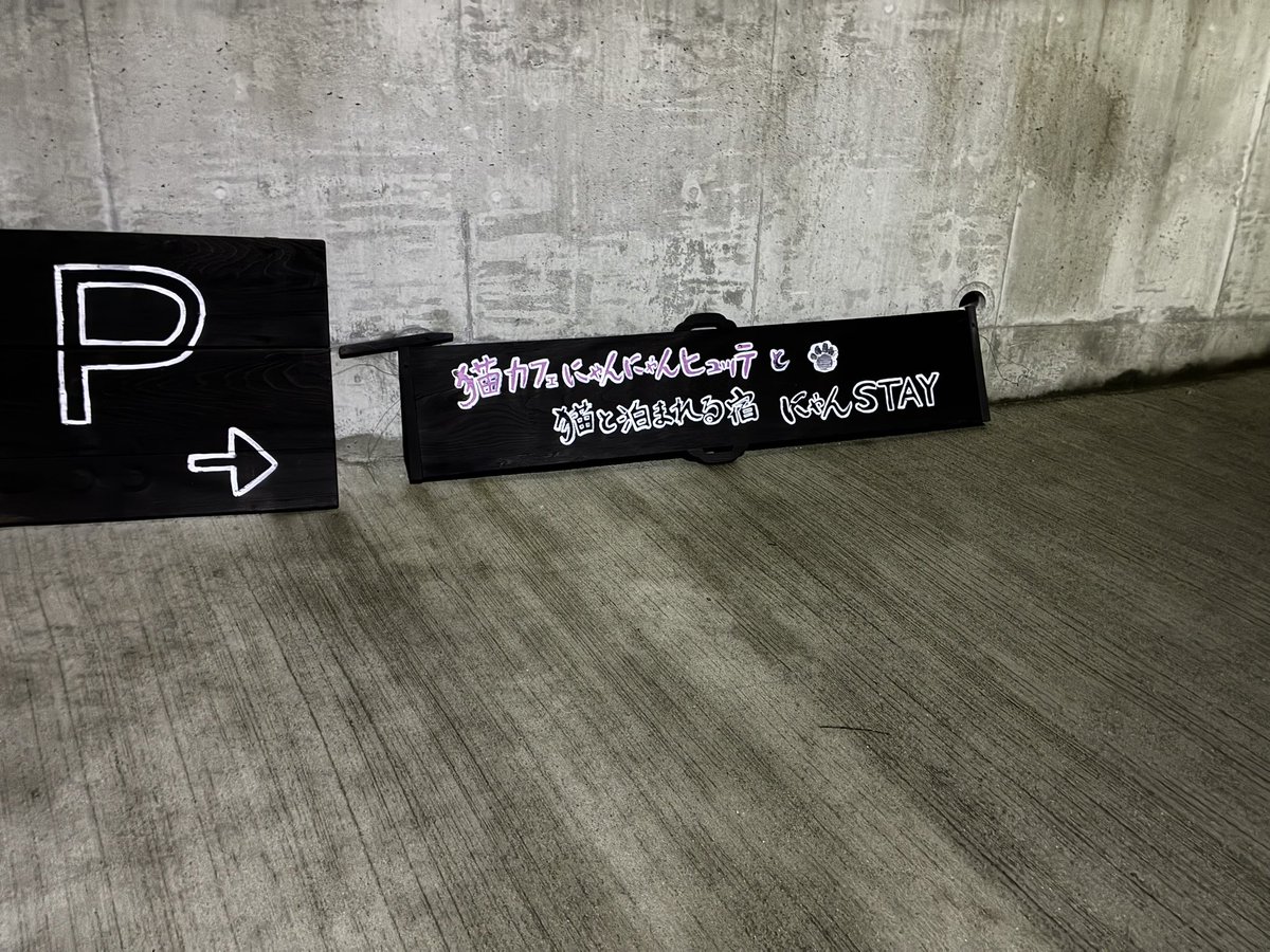 lunaticdial's tweet photo. 今日の宿、寝床が既に猫3匹に取られててうち1匹は爆睡で草(この歳になってドミトリーを取るとは) https://t.co/Bfh0rMEAV4