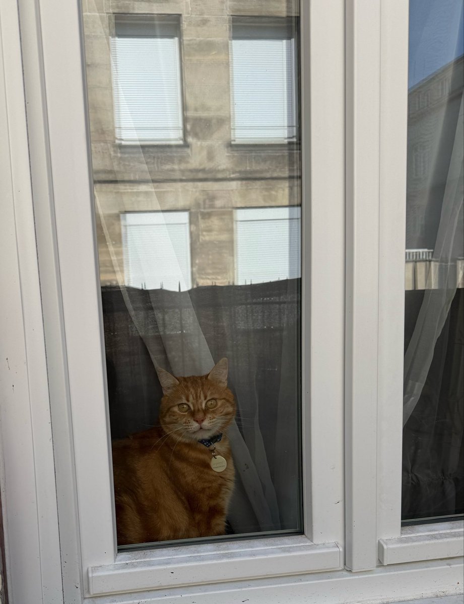 syacrybabyy's tweet photo. je rentre à la maison mon fils m’attends à la fenêtre en pleurant 😭😭😭😭😭😭😭😭😭😭 mind you je suis sortie 10 minutes https://t.co/PPNQk4IBoW