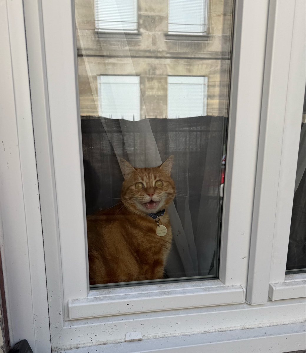 syacrybabyy's tweet photo. je rentre à la maison mon fils m’attends à la fenêtre en pleurant 😭😭😭😭😭😭😭😭😭😭 mind you je suis sortie 10 minutes https://t.co/PPNQk4IBoW