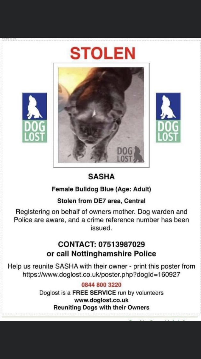 MissingPetsGB's tweet photo. 6 years today 😔
SASHA was stolen from her garden along with her brother, her brother was sold on & returned but sadly Sasha is still missing.
#bulldog #STOLEN SASHA 23/9/20
#Ilkeston #DERBY #DE7
Possibly was sold on in the #Mansfield or Ilkeston #Nottinghamshire
@T12taeEvans https://t.co/ReVBFisJv9