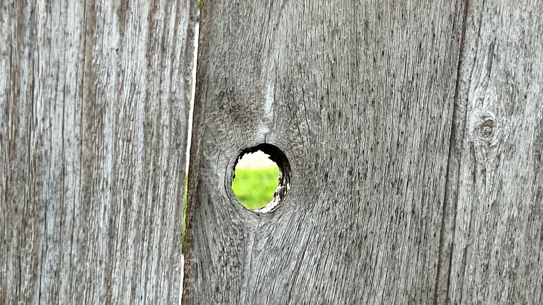 RegularGuyz3's tweet photo. #backyardsex,#gloryhole 

"Mr. Wilson is checking us out again. Oh SHIT. Look he's cut out a hole in the fence dude. HOLY SHIT. You think he wants us to suck him off or does he want to suck us off?"

"Gee IDK. Probably both." https://t.co/We9tLBs8f3