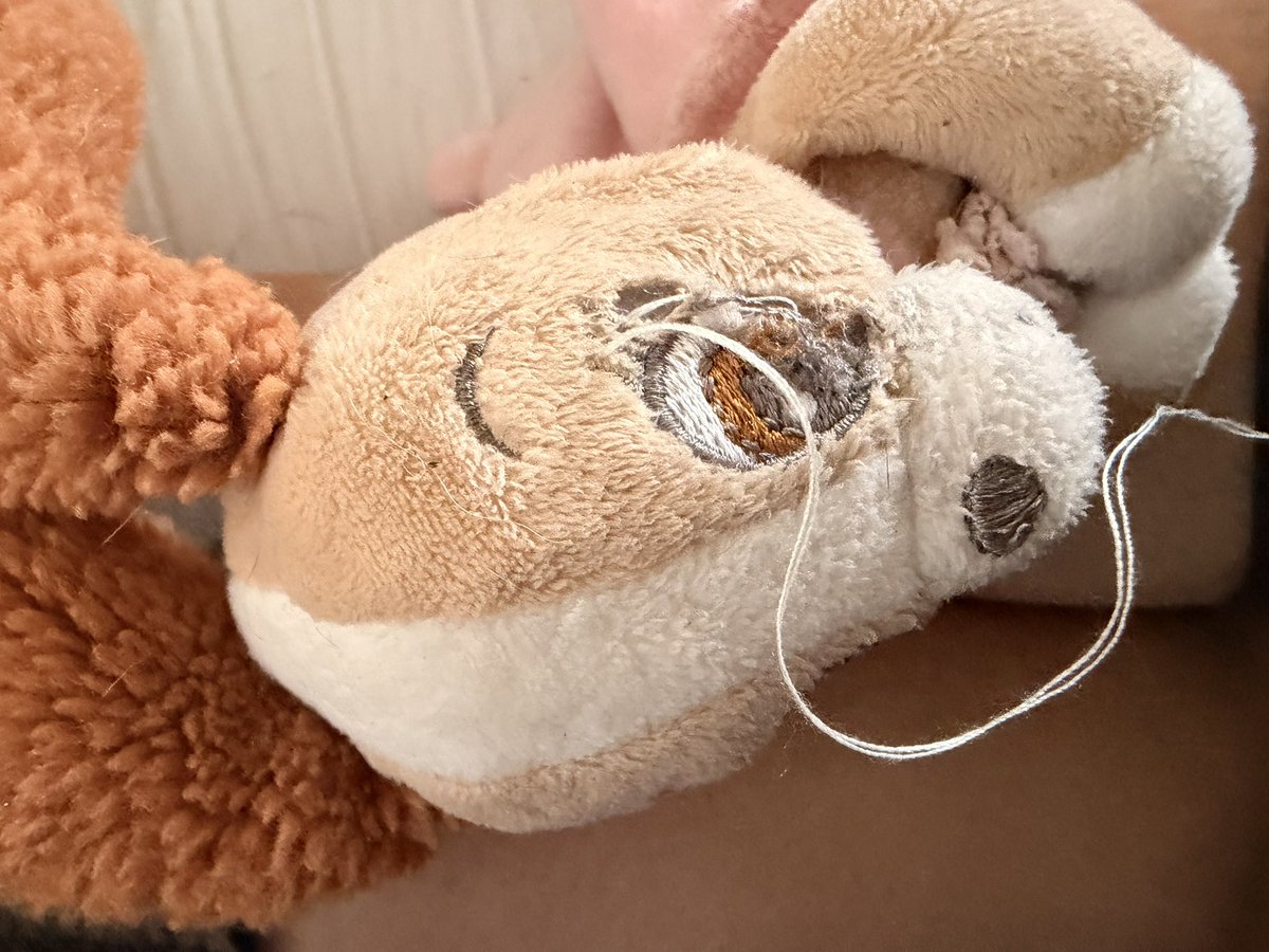 SandieZooT's tweet photo. Eh oui, c’est important de repriser « Nenette » pour Ari…!
Elle est importante, au même titre que bb dragon, le canard, ou encore « Lulu » ou sa balle.
Et je peux vous certifier qu’il connaît parfaitement leurs différents noms 😌
#lasttweet https://t.co/YfzvIgdwSP
