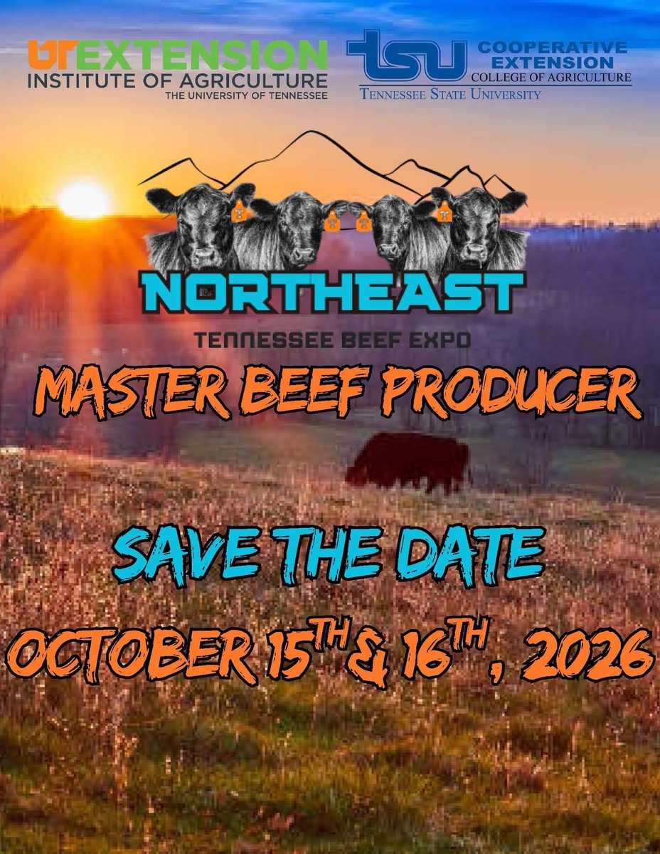 utbeefandforage's tweet photo. 🐂 Want to earn your Beef Quality Assurance certification while you're at it?

Beef Quality Assurance (BQA) certification is available as part of the 2026 Northeast Tennessee Master Beef Producer Program!

That's one more reason to spend October 15 & 16 with us in Greeneville.

✔️ Master Beef Producer
✔️ Northeast Tennessee Beef Expo
✔️ BQA certification available
✔️ Two days focused on beef cattle production

Make the trip count!

📅 October 15–16
📍 Clyde Austin 4-H Center
214 4-H Lane, Greeneville, TN 37743
💲 Early Registration: $125 through October 9

➡️ Register at https://t.co/7ZF7fDmNM8

Know someone who needs to complete Master Beef or renew their BQA? Tag them below! 👇

#MasterBeefProducer #BQA #BeefQualityAssurance #NETBE2026 #TennesseeCattle #UTExtension