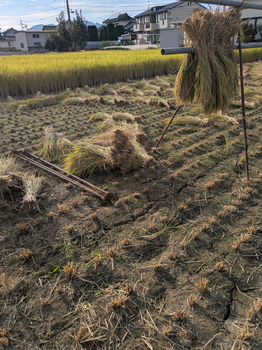 murakami_cti's tweet photo. 地方の掃除屋さんは、掃除して、お米育てて刈って、なんぼですから(๑•̀ㅁ•́๑)✧ https://t.co/uvaOan3wSO