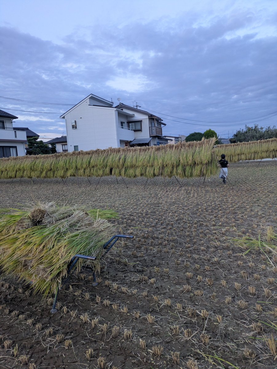 murakami_cti's tweet photo. 地方の掃除屋さんは、掃除して、お米育てて刈って、なんぼですから(๑•̀ㅁ•́๑)✧ https://t.co/uvaOan3wSO