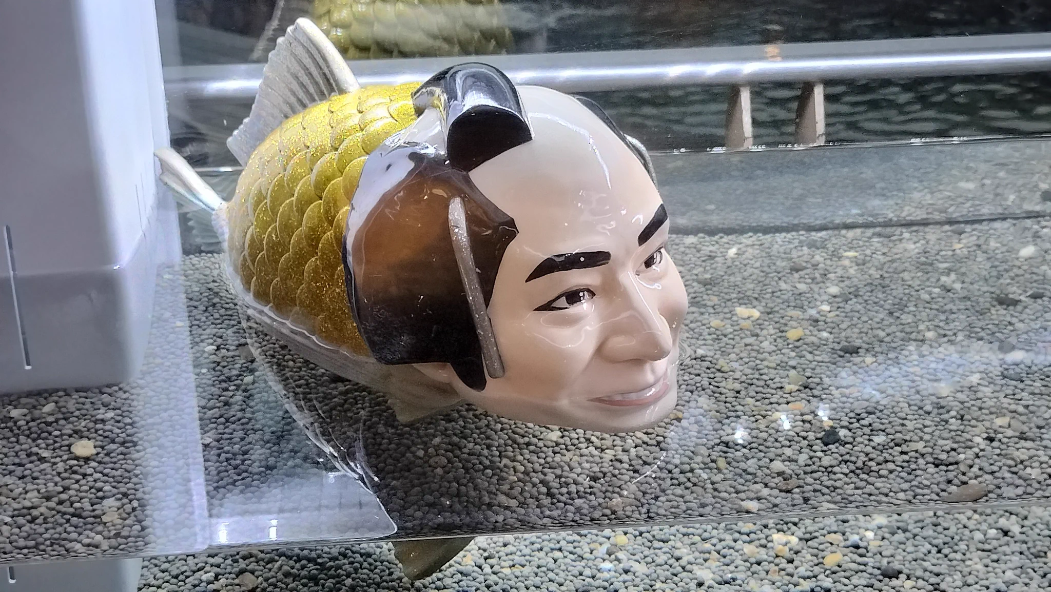 つぐみ on X: 
