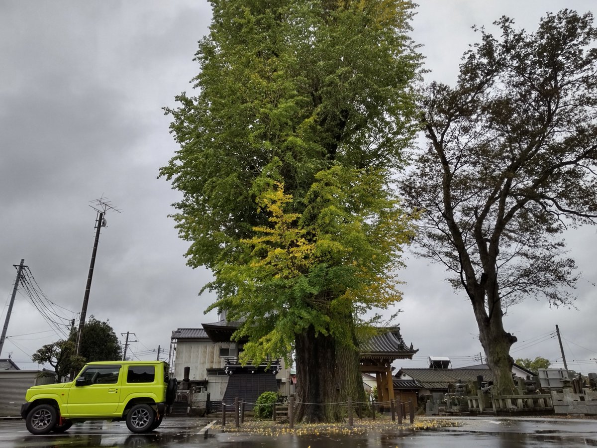 HiroShit69's tweet photo. 彼岸最終日は雨。ご先祖様、遅くなってごめんなさい… と両家の墓参り。
途中、昼食に立ち寄った山田うどんで、妻に「まさに駆け込み寺だね」と言おうかどうしようか迷って、結局、黙ったままラーメンを啜った。 https://t.co/RGlq0L7Nsf