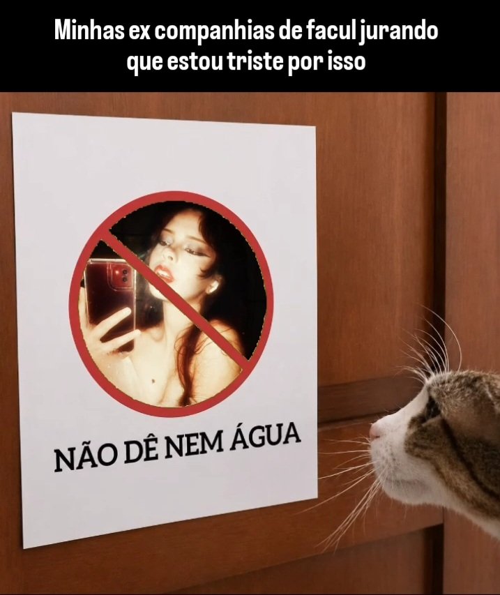 violet_hwarang's tweet photo. Um bando de pessoas imaturas e manipuladas por uma pick me girl de quase 24 anos nas costas (aka minha ex amiga) e pelo pick me boy do meu ex que não sabe decidir as coisas por si mesmo e precisa que alguém faça a cabeça dele https://t.co/edmWzz8cgs