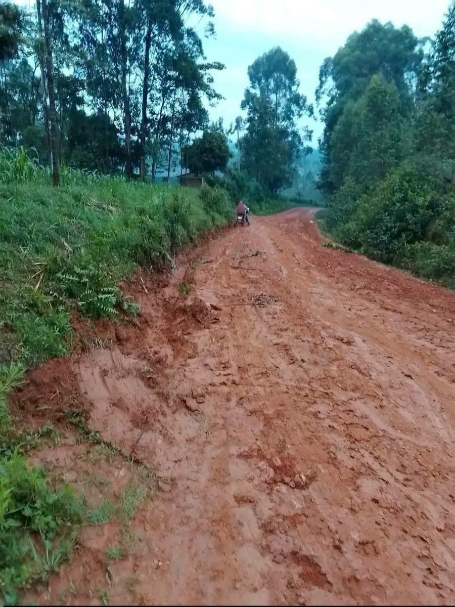 onto_mwa's tweet photo. This is the road to Caleb Amisi's home but the same guy is busy loitering around in choppers funded by kasongo claiming he is the one who made Sifuna.

Bwana Amisi , instead of wasting the tax payers money in choppers and rallies backed up with a crowd of 5 people si tu uambie Ruto akuekee hii lami Tu.

What is @Honcalebamisi doing with the cdf funds ???