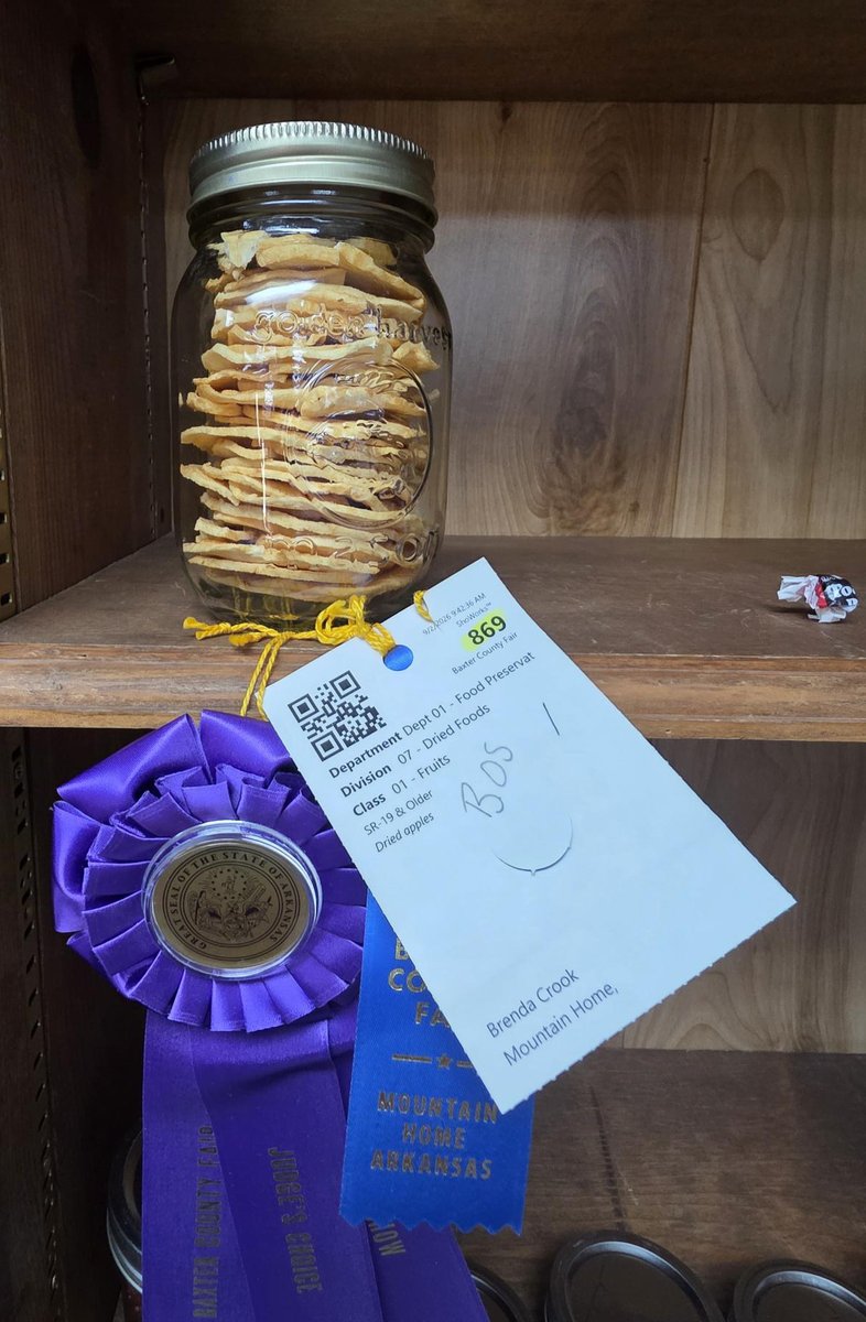 AginArk's tweet photo. County fairs offer recognition for skills that might otherwise fly under the radar. 
Blue ribbons are points of pride for crafters, canners, artists &amp; those who raise small livestock.
Thanks to @AR_Extension's LeeAnn Blevins for the images from the Baxter County Fair. https://t.co/2ZOA5jDcsE