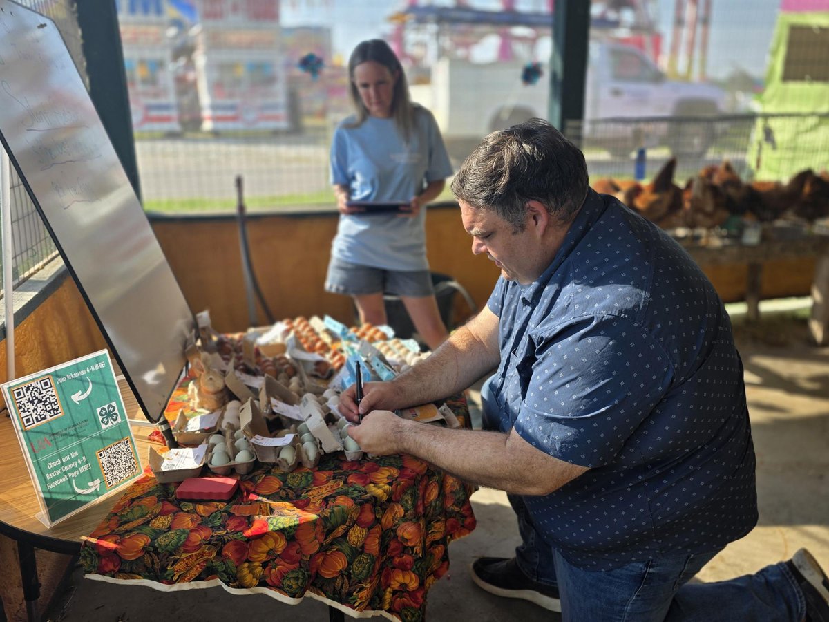 AginArk's tweet photo. County fairs offer recognition for skills that might otherwise fly under the radar. 
Blue ribbons are points of pride for crafters, canners, artists &amp; those who raise small livestock.
Thanks to @AR_Extension's LeeAnn Blevins for the images from the Baxter County Fair. https://t.co/2ZOA5jDcsE