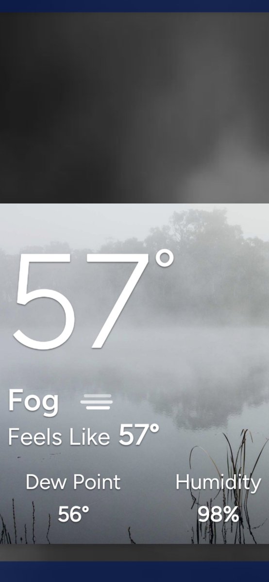 JCook8382's tweet photo. Beautiful Crispy morning in the Great state of Alabama this morning ☁️ Have a great Saturday and weekend! #fog #crispy https://t.co/ohJ2s5Zp4Y