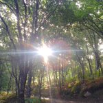 Photo by A maxia do Xurés (@a_maxia)