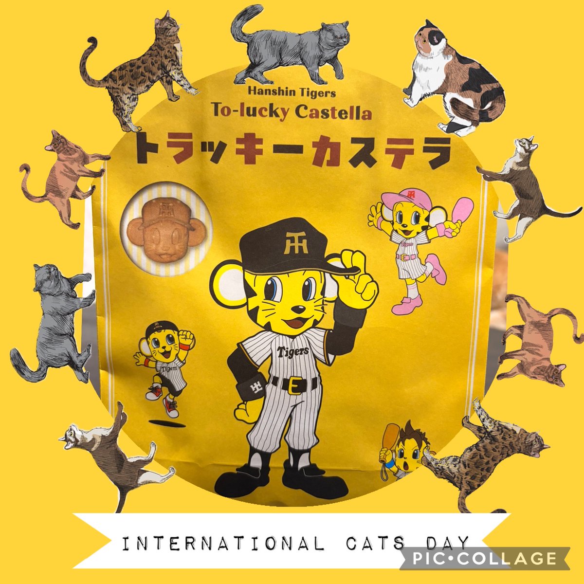 rilanagi's tweet photo. 虎勝った🐯
土産貰った🐯 https://t.co/MD29GL6TZE
