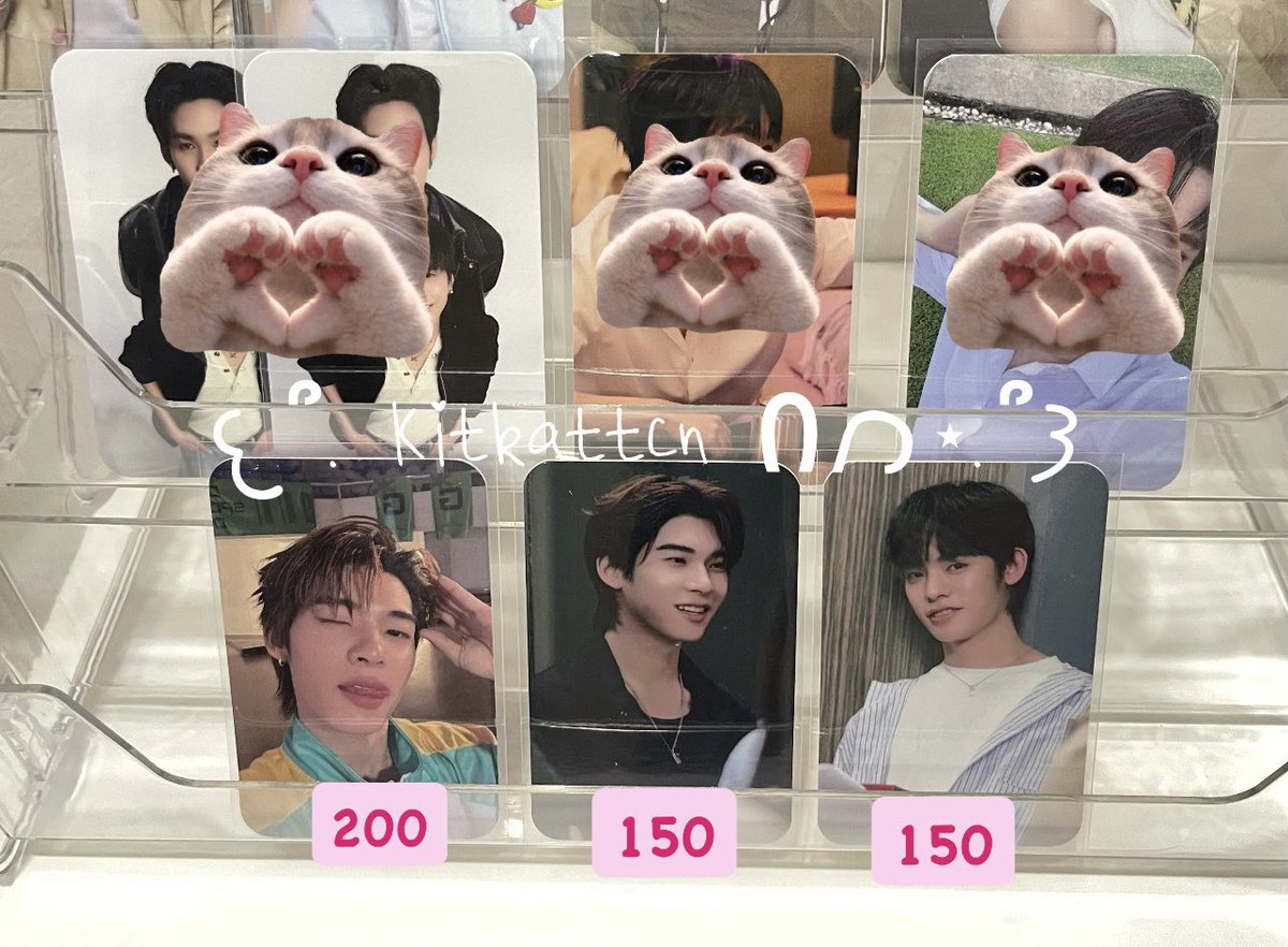 Kitkattcn's tweet photo. 🎀 WTS | อัพเดทคับ⭐️

𑣲⋆ ตี๋ตี๋ป๋อ ราคาตามรูป
𑣲⋆ อู๋เซฟ ❌❌

🚚แง้นๆ 40.- รอบส่งวันจันทร์
💌สนใจ/ขอดูเพิ่มเติม dm ได้เลย~

#ตลาดนัดตี๋ตี๋ป๋อ #ตลาดนัดด้วงกับเธอ #ตลาดนัดอู๋อู๋เซฟ #ตลาดนัดอู่อู๋เซฟ #ตลาดนัดดมด #ตลาดนัดดูมันดิ
#ตลาดนัดdmd #ตลาดนัดdomundi https://t.co/ze9uOOLjua